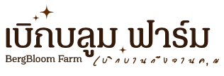 เบิกบลูมฟาร์ม ชลบุรี
